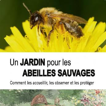 thumbnail - Un jardin pour les abeilles sauvages